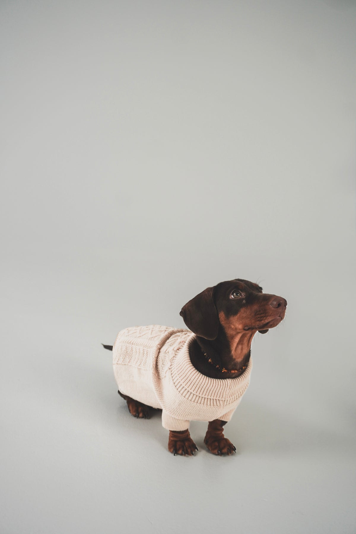 Megztinis "MELTY COZY"