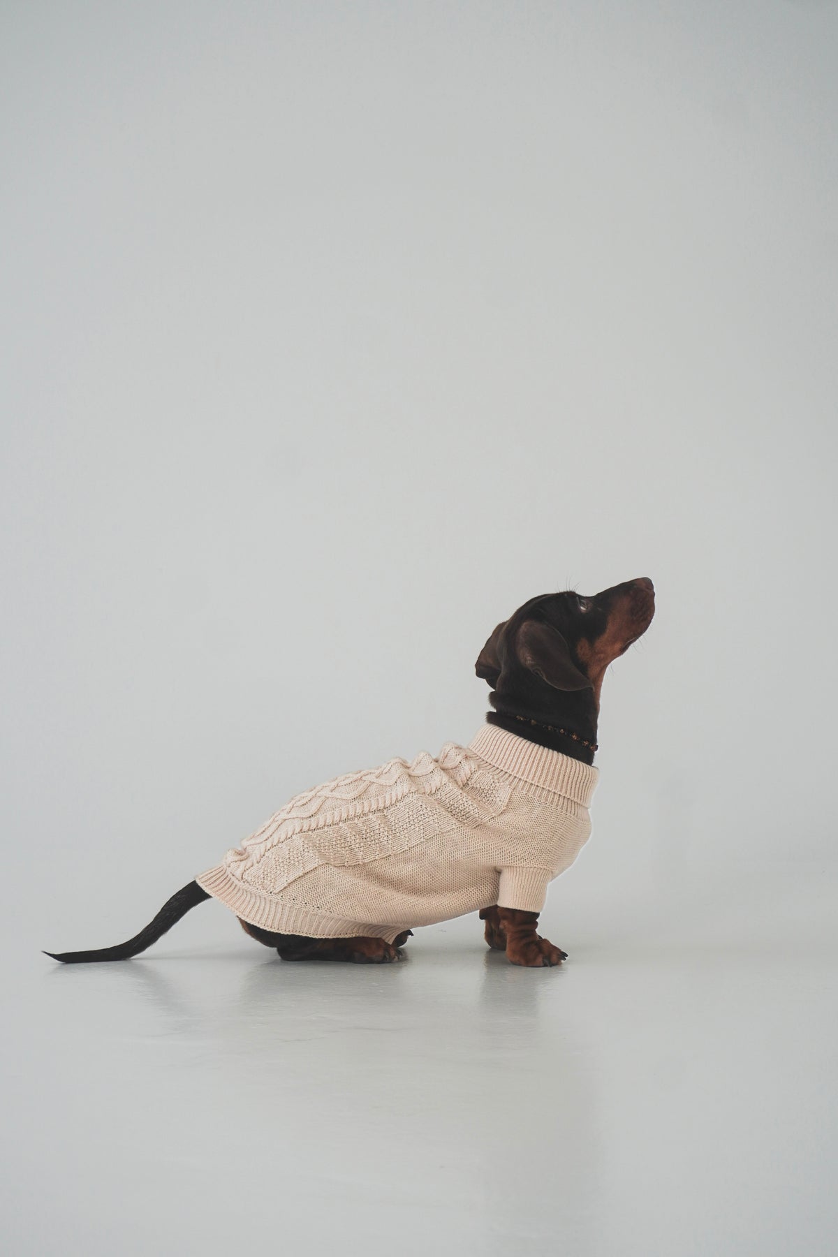 Megztinis "MELTY COZY"