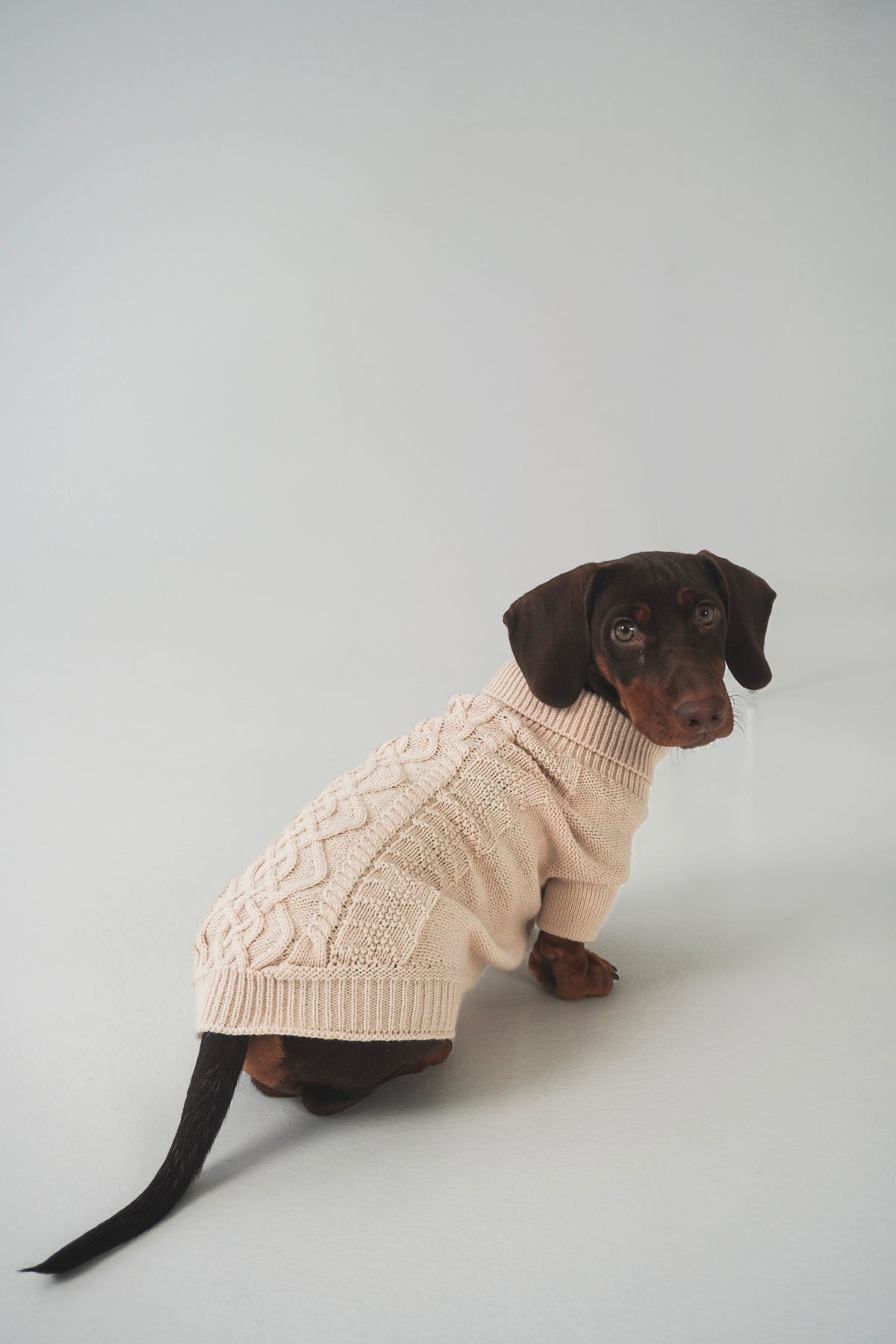 Megztinis "MELTY COZY"