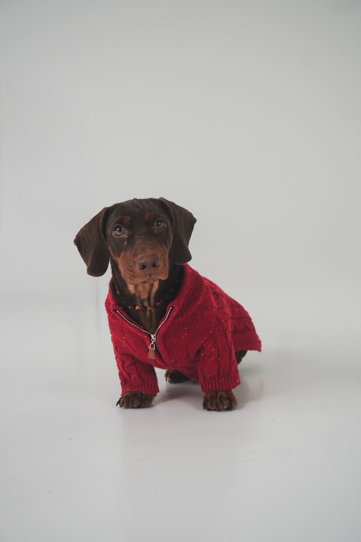 Megztinis su užtrauktuku "MELTY QUARTER ZIP"