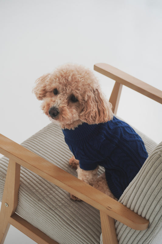 Megztinis "MELTY COZY BLUE"