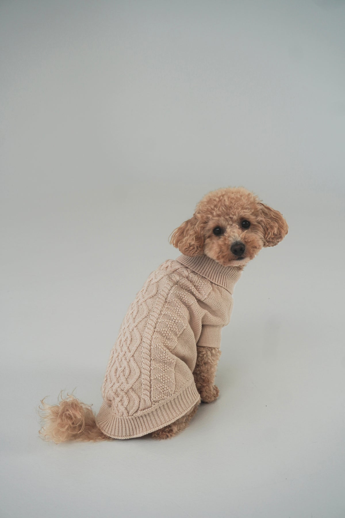 Megztinis "MELTY COZY"