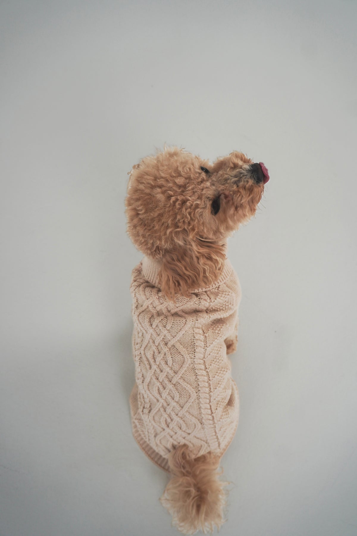 Megztinis "MELTY COZY"