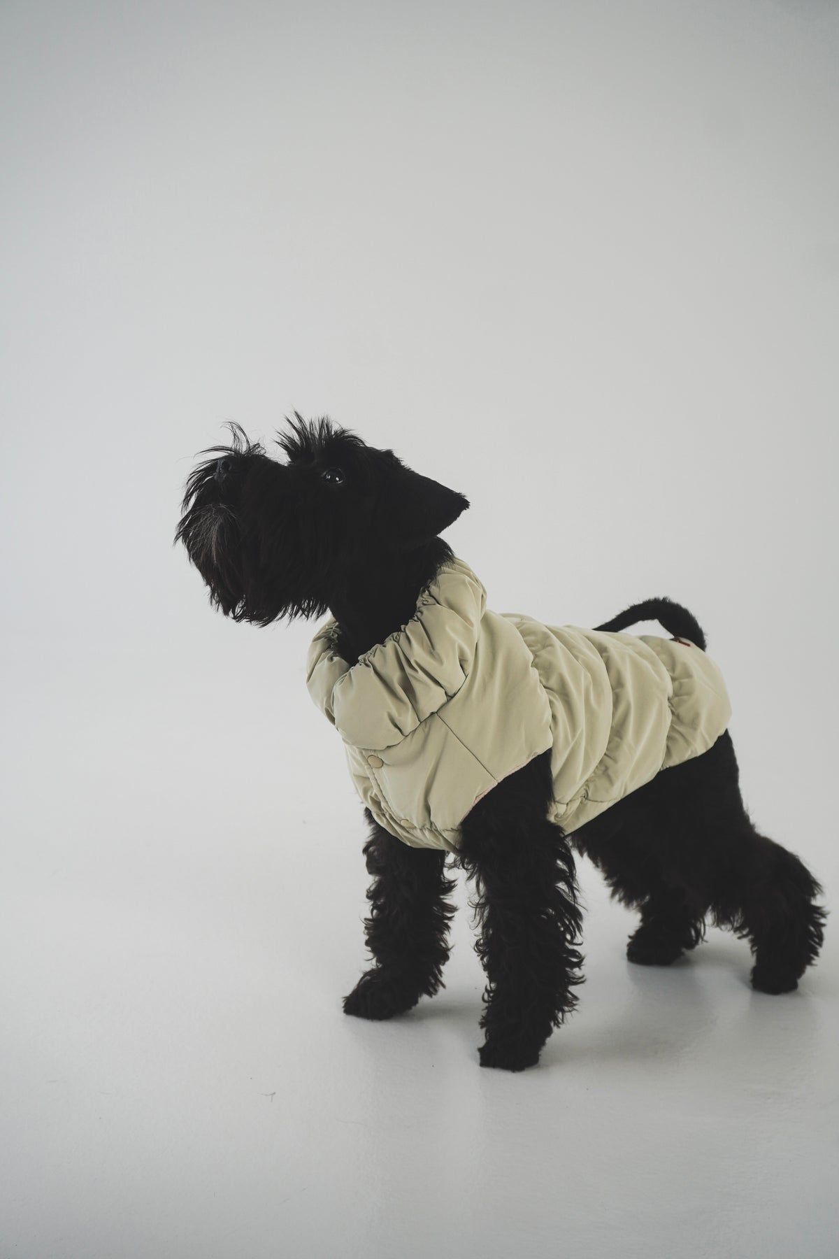 Striukė "MELTY PUFFER JACKET"