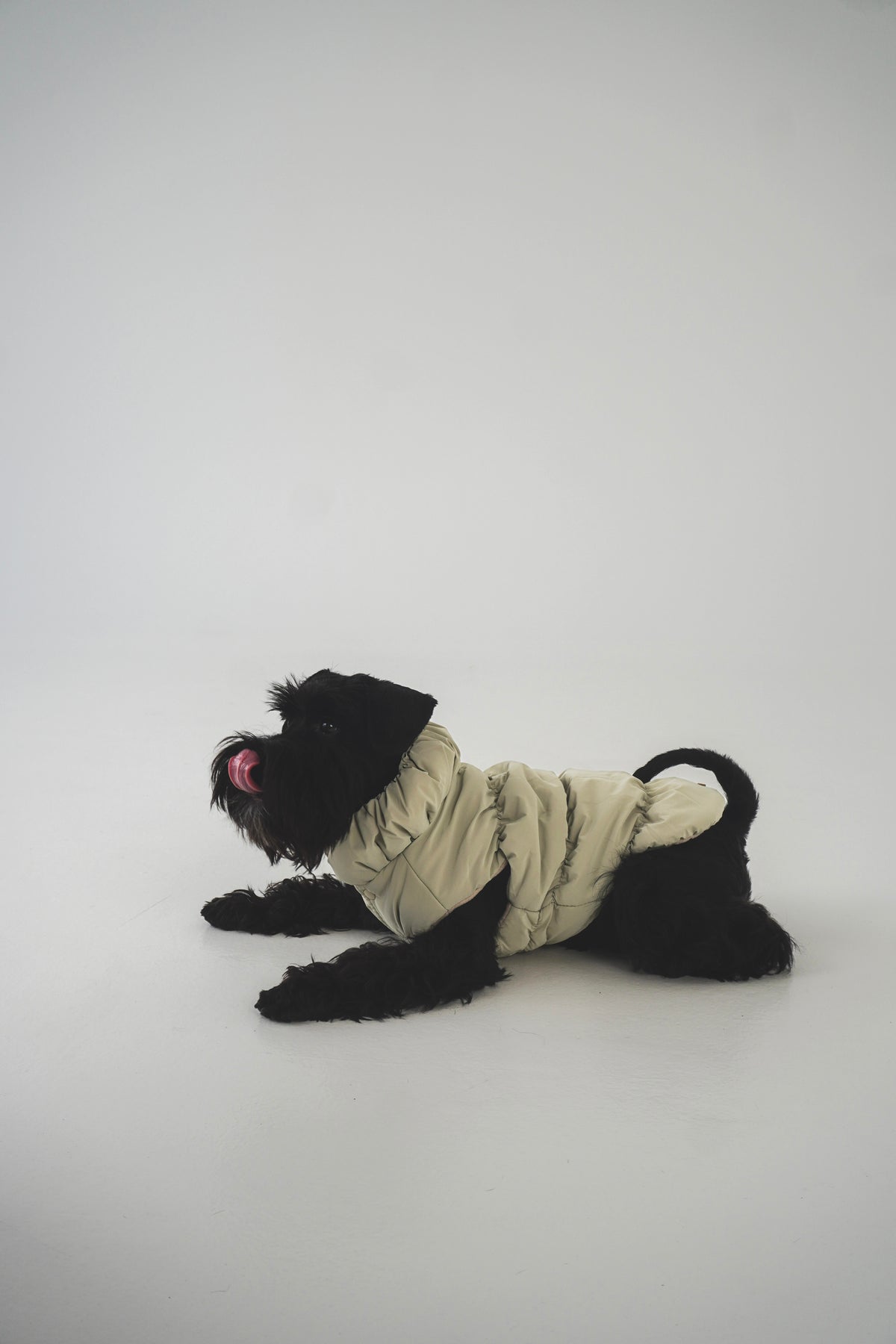 Striukė "MELTY PUFFER JACKET"